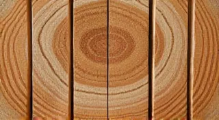 Echoes in the Grain: Carving Stories from the Wood’s Memory