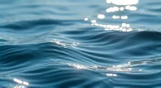 The Rhythm of Release: Carving as a Meditative Practice